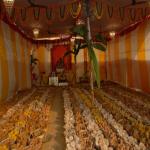 Vraj-Yatra-2014- (2886)